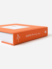 Abrams Publishing Hermes: Heavenly Days